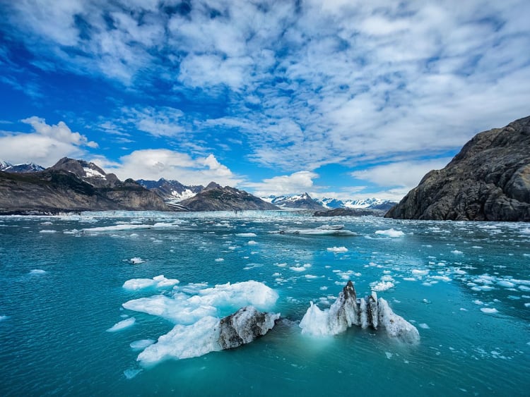 Valdez (Alasca, EUA) - Bild 42