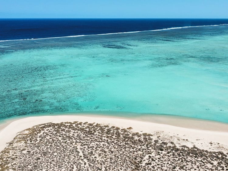 Exmouth (Australie-Occidentale, Australie) - Image 59