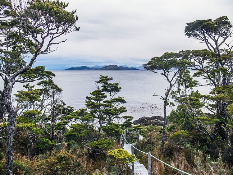 D&eacute;troit de Magellan (Chili) - Image 44