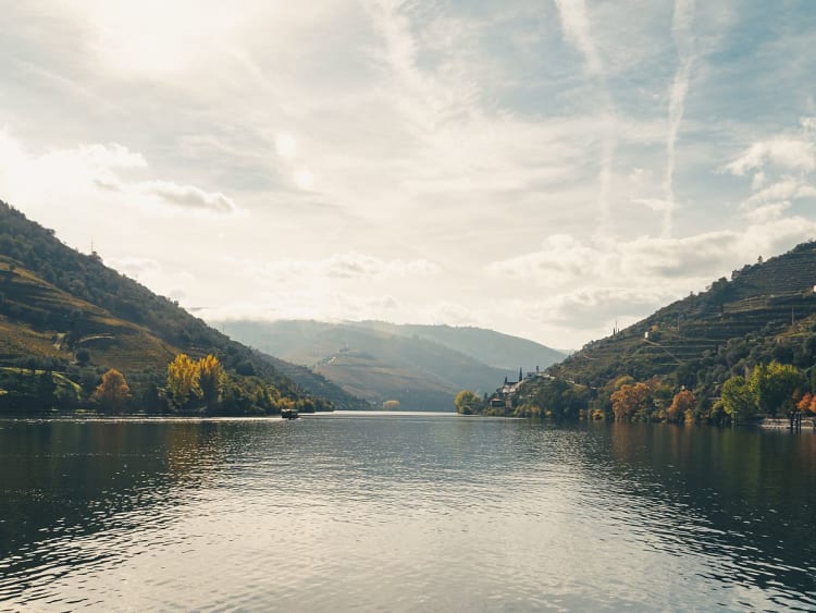 Regua (Portugal) - Foto 21