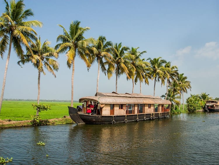 Cochin (India) - Foto 78