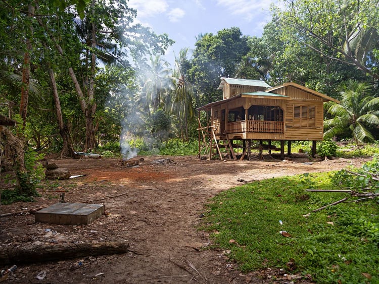 Honiara, Salomonen, Holzhaus auf Stelzen im tropischen Palmenwald
