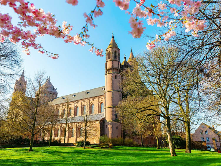 Worms, Deutschland - Historischer Dom im Park mit B&auml;umen und rosa Bl&uuml;ten im Vordergrund