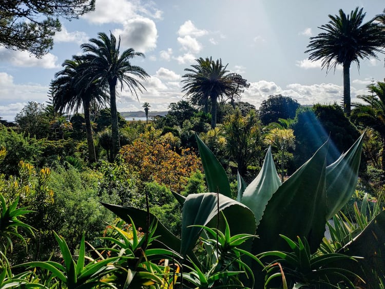 Isles of Scilly (England) - Bild 27