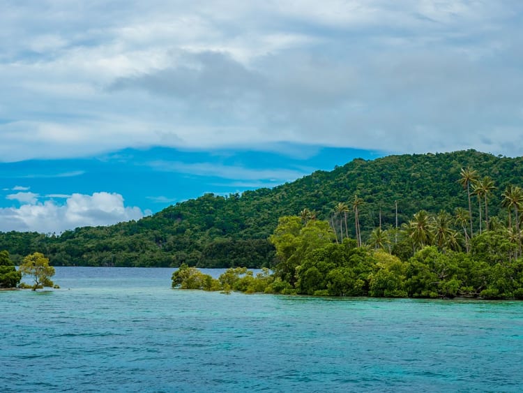 Alotau, Papouasie&ndash;Nouvelle-Guin&eacute;e &ndash; C&ocirc;te insulaire tropicale avec palmiers et eaux turquoise