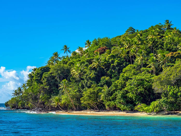 Alotau, Papouasie&ndash;Nouvelle-Guin&eacute;e &ndash; Plage tropicale bord&eacute;e de palmiers sur la c&ocirc;te de la baie de Milne