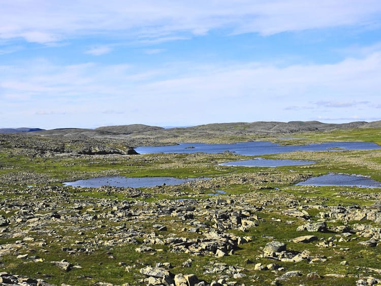 &Oslash;ksfjord, Noorwegen &ndash; Uitgestrekte toendra met kleine waterpartijen