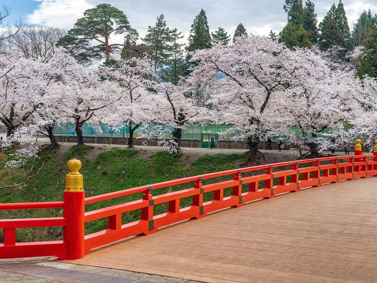 Tsuruga, Japon &ndash; Pont japonais au milieu des cerisiers roses
