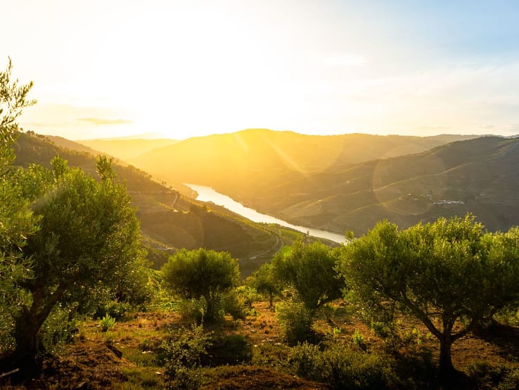 Pinh&atilde;o, Portugal &ndash; Dourovallei met terrasvormige wijngaarden in avondlicht