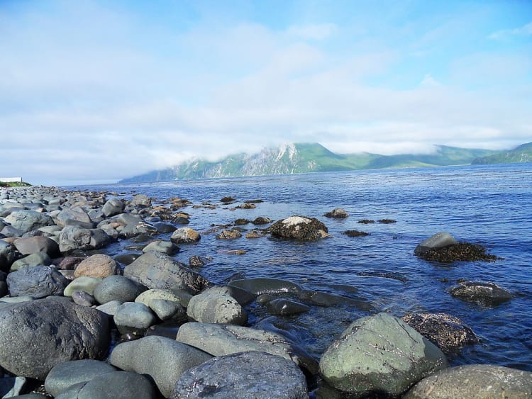 Dutch Harbor, Alaska, USA &ndash; Felsige K&uuml;ste mit gr&uuml;nen Bergen und blauem Meer