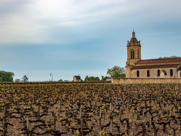 Pauillac, Frankreich &ndash; Rebst&ouml;cke vor historischer Kirchenarchitektur
