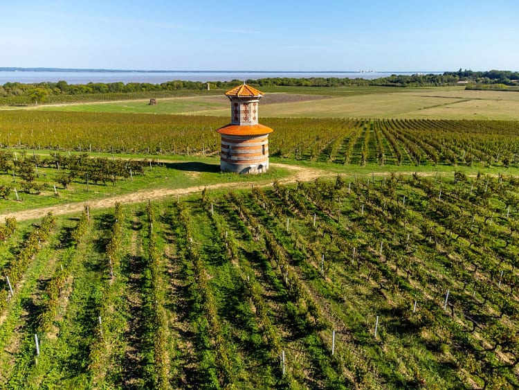 Pauillac, Frankreich &ndash; Landschaft des M&eacute;doc mit Weinbergen und Flussufer