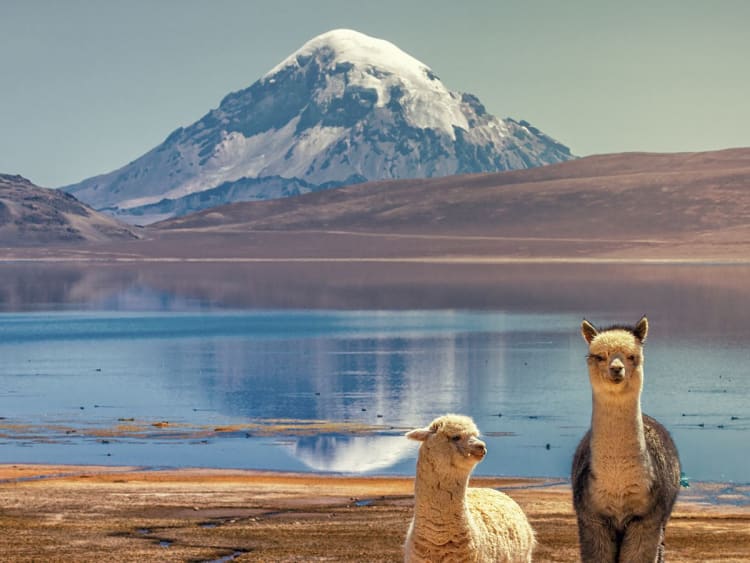 Arica, Chili &ndash; Hooglandmeer voor een besneeuwde bergtop
