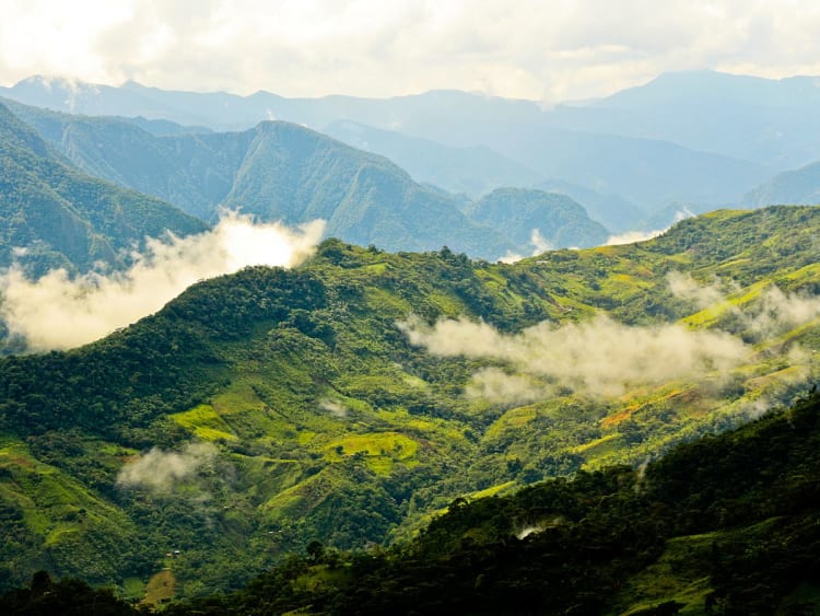 Guayaquil, Ecuador &ndash; Weite H&uuml;gellandschaft mit dichter tropischer Vegetation