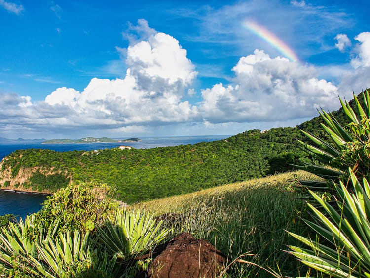 Union Island, Grenadinen &ndash; Tropische Vegetation mit Blick auf vorgelagerte Inseln