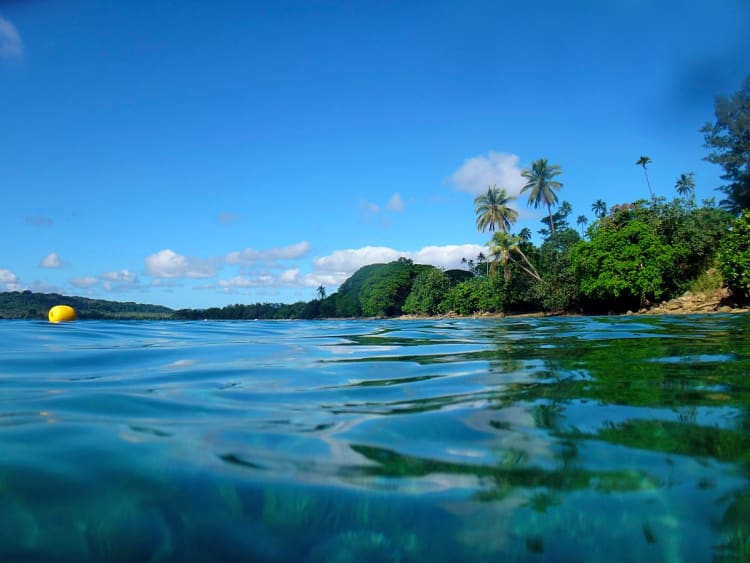 Luganville, Vanuatu &ndash; Palmbomen langs het water onder een blauwe hemel