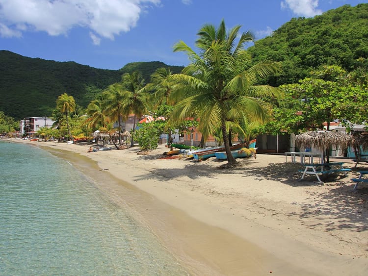 Anse Mitan, Martinica &ndash; Playa de arena con palmeras y aguas cristalinas