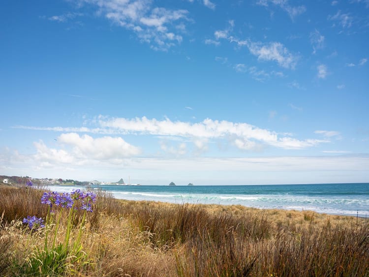Plymouth, Inglaterra &ndash; Paisaje costero con mar azul y flores