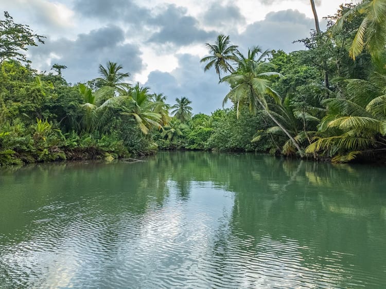 Portsmouth, Dominica &ndash; R&iacute;o tranquilo entre palmeras y vegetaci&oacute;n tropical