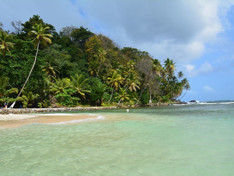 Crist&oacute;bal, Col&oacute;n, Panama &ndash; C&ocirc;te bord&eacute;e de palmiers aux eaux cristallines