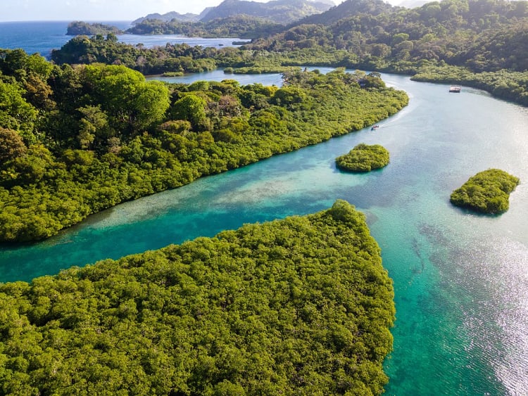 Crist&oacute;bal, Col&oacute;n, Panama &ndash; Paysage tropical de mangroves aux eaux cristallines