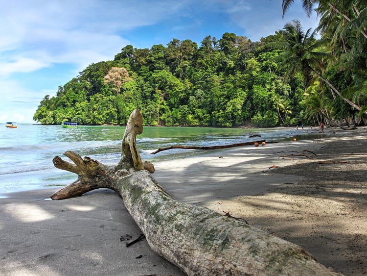 Isla Parida, Panam&aacute; &ndash; Praia tropical com palmeiras e floresta densa