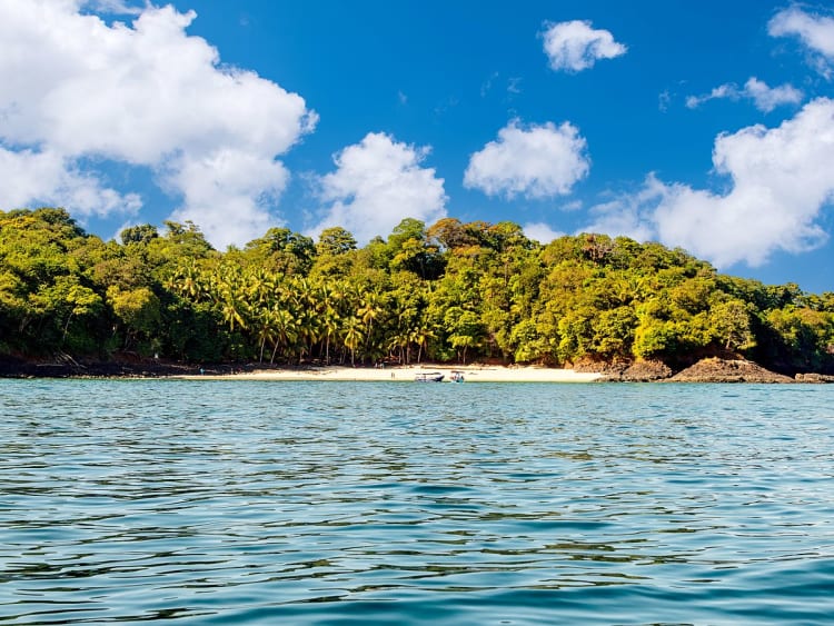 Isla Parida, Panam&aacute; &ndash; Costa tropical com praia de areia e floresta densa