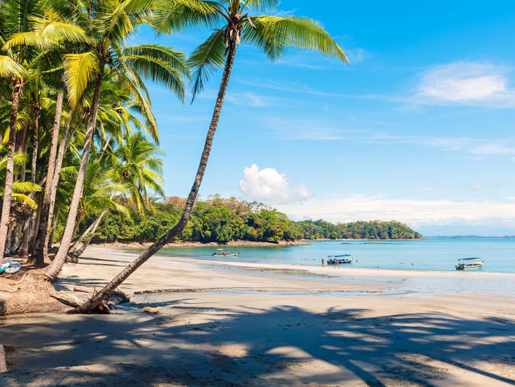 Isla Parida, Panam&aacute; &ndash; Praia de areia com palmeiras e &aacute;guas tranquilas