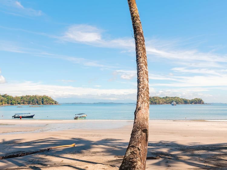 Isla Parida, Panam&aacute; &ndash; Praia de areia com palmeiras e pequenos barcos