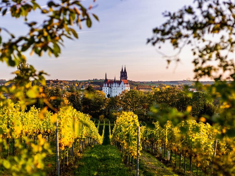 Meissen, Alemania &ndash; Vi&ntilde;edos con vistas al centro hist&oacute;rico