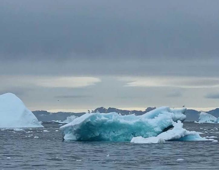  MS Hamburg cruises, deck plan and ship reviews 