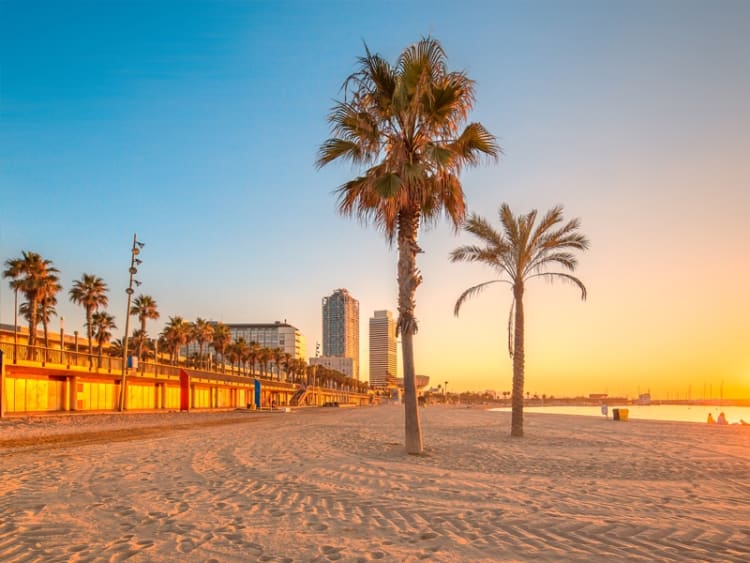 World Club Dome - Cruise Edition