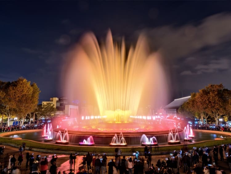 World Club Dome - Cruise Edition