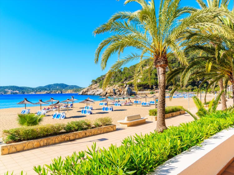 World Club Dome - Cruise Edition