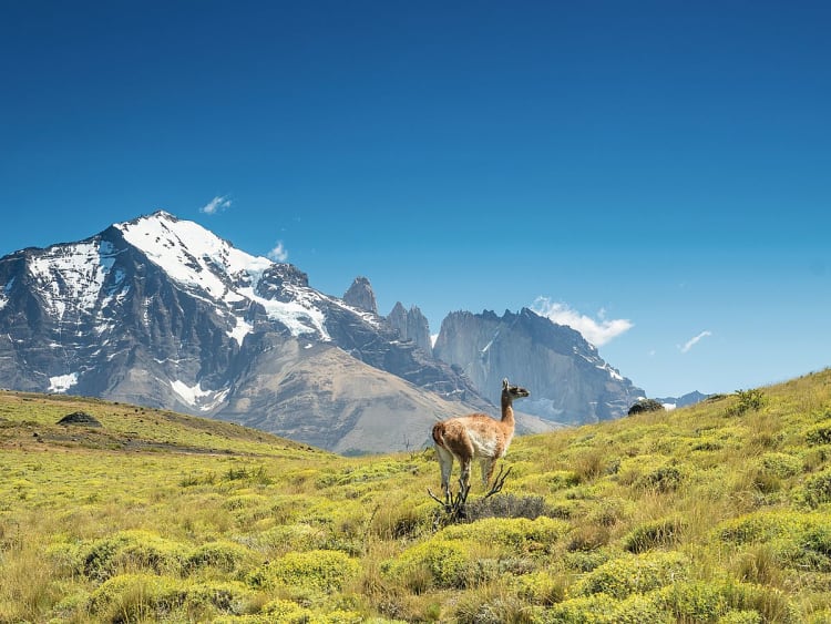 Holland America Line - Oosterdam - Bild 1