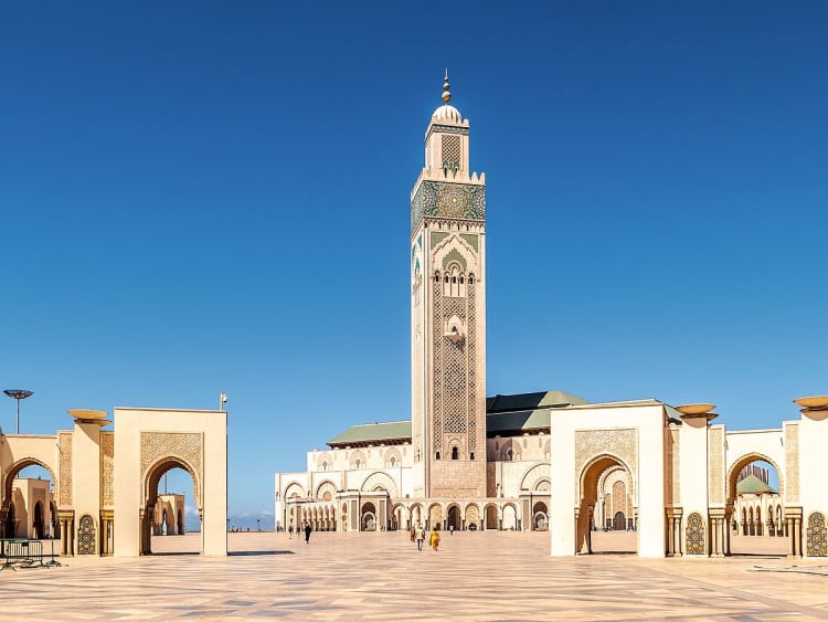 MSC Cruises - MSC Magnifica - Image 1