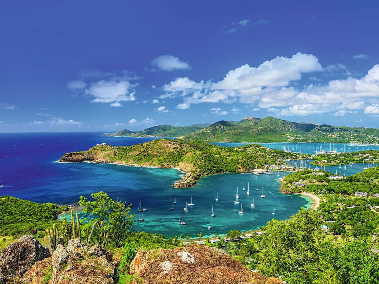 MSC Cruises - MSC Opera - Image 1