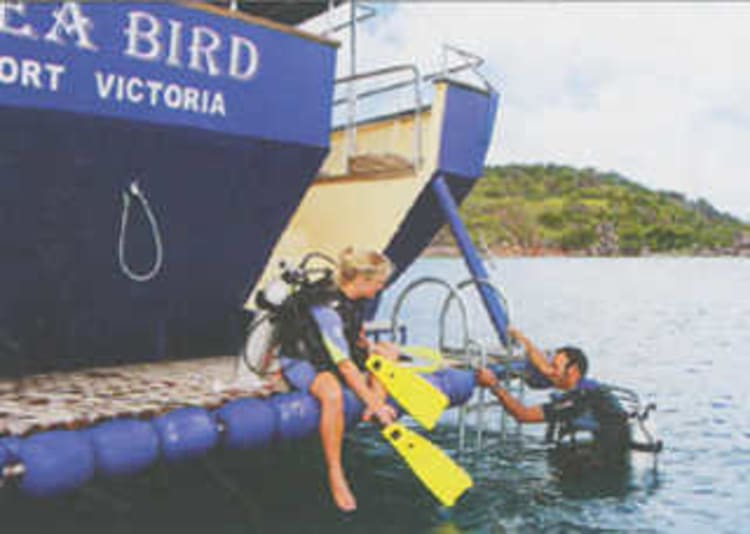Silhouette Cruises - Sea Bird - Bild 4