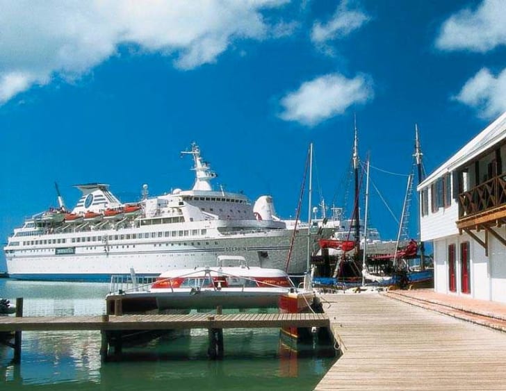 Vishal Cruises - Delphin - Image 6