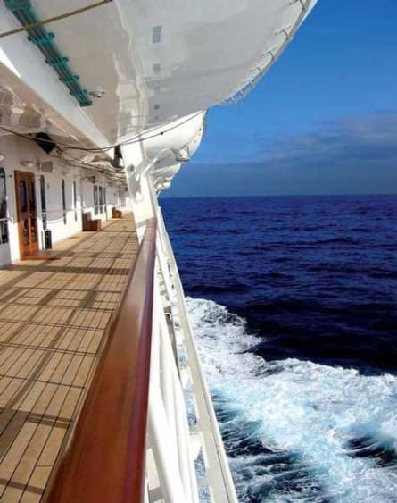 Vishal Cruises - Delphin - Image 8