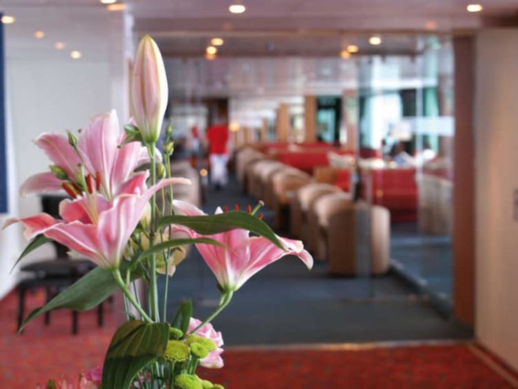 AMBIENTE - Princess Daphne - Image 11