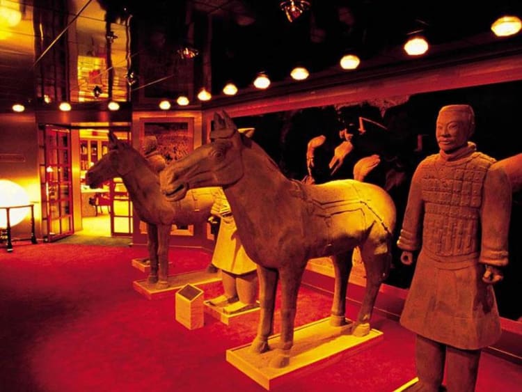 Holland America Line - Rotterdam (alt) - Foto 12