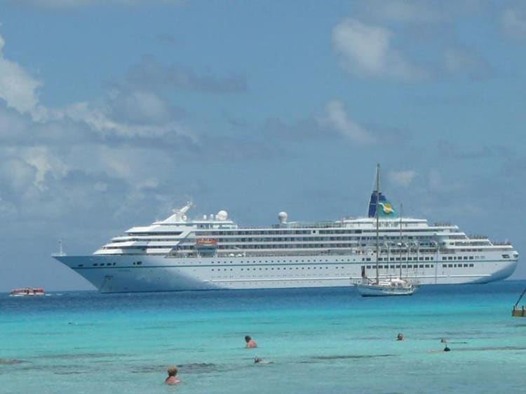 Phoenix - Amadea - Bild 8