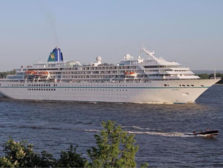 Phoenix - Amadea - Bild 4