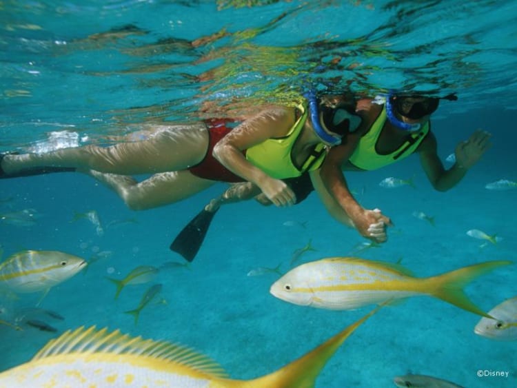 Disney - Disney Dream - Bild 18