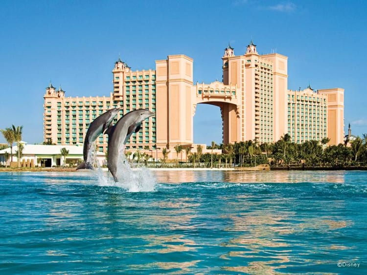 Disney - Disney Dream - Bild 24