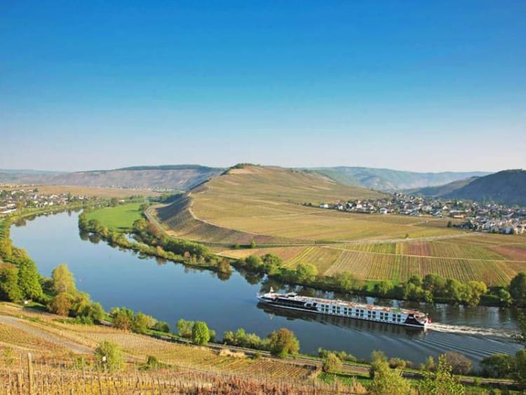 Excellence - Excellence Queen - Image 2