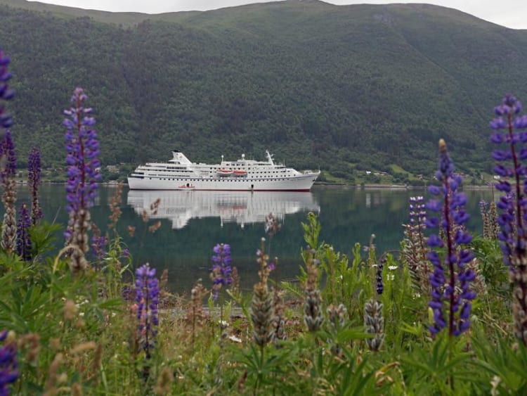 Majestic International Cruises - Ocean Majesty - Bild 3