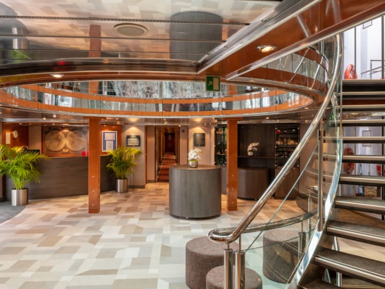 STARLING FLEET - Belvedere - Bild 11