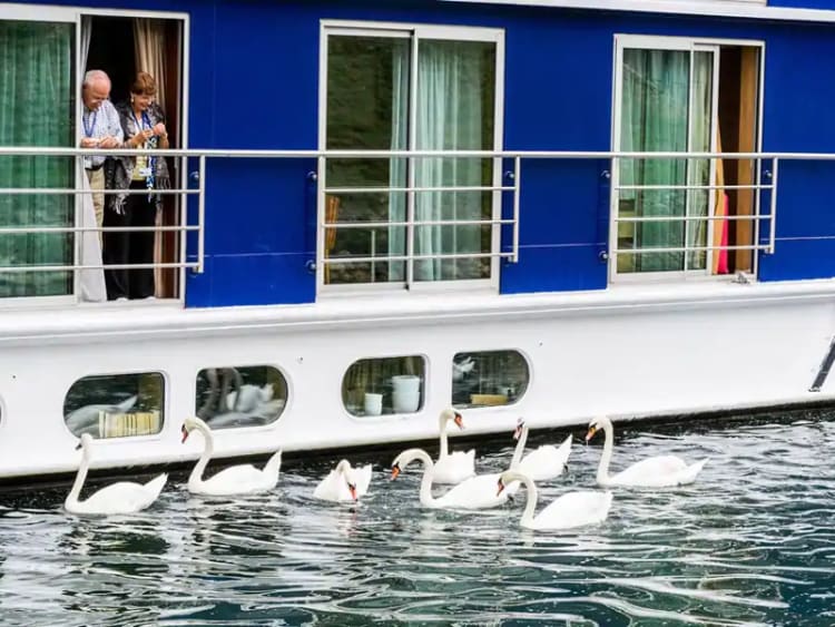 AmaWaterways - AmaCello - Bild 8